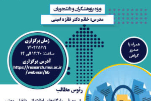 information search at the internal database