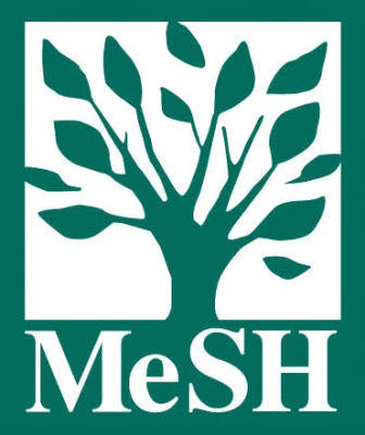 mesh