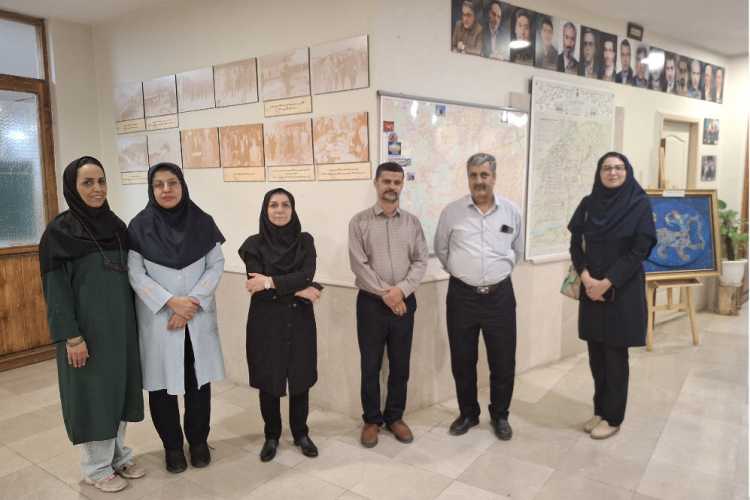 بازدید