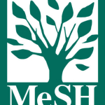 mesh